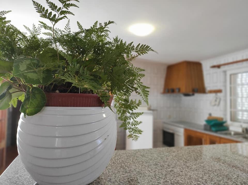Casa Do Canastro Воузела Екстериор снимка